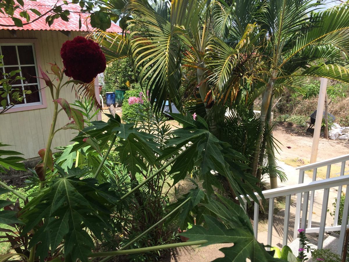 Posada Miss Portia South West Bay 外观 照片