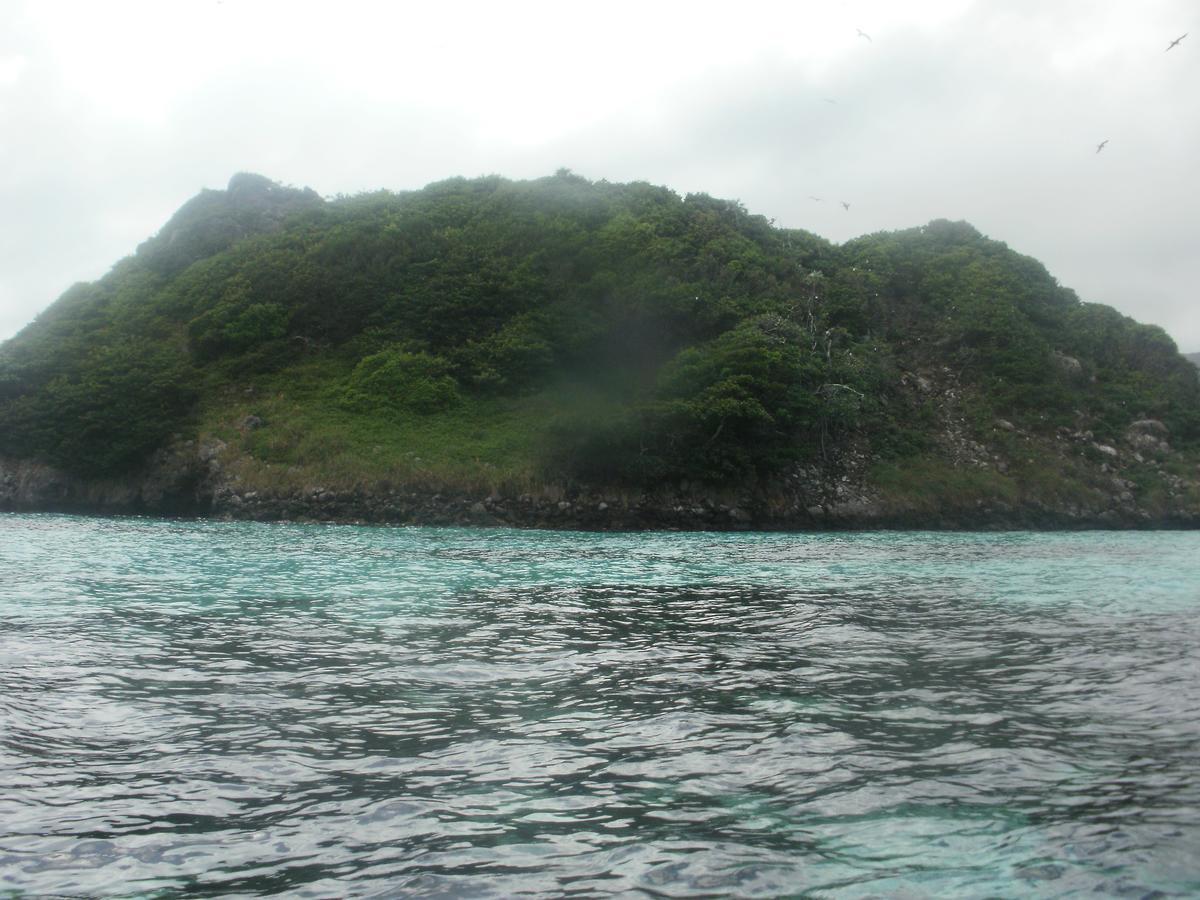 Posada Miss Portia South West Bay 外观 照片