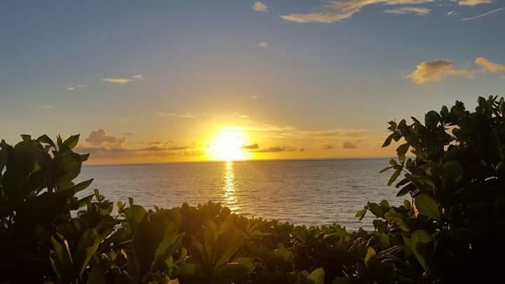 Posada Miss Portia South West Bay 外观 照片