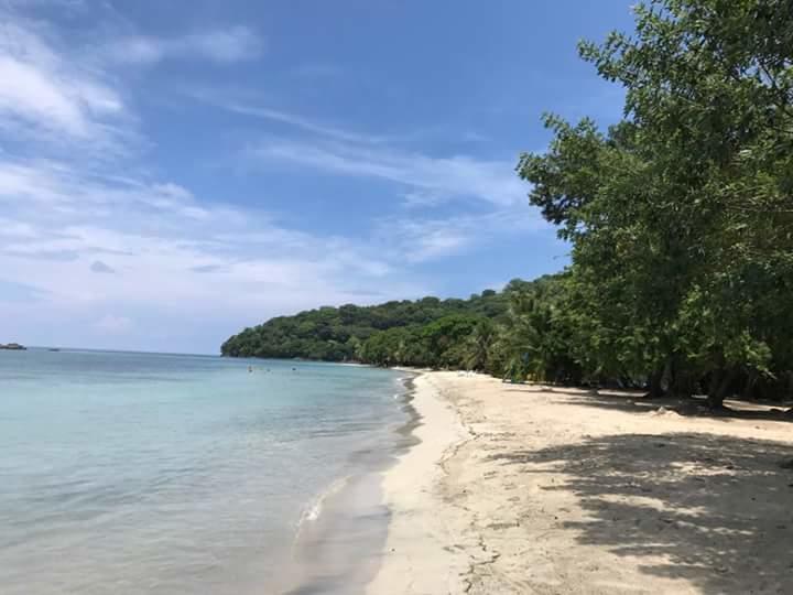 Posada Miss Portia South West Bay 外观 照片